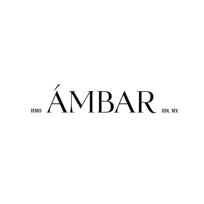 Networking_Inmobiliario_Ambar