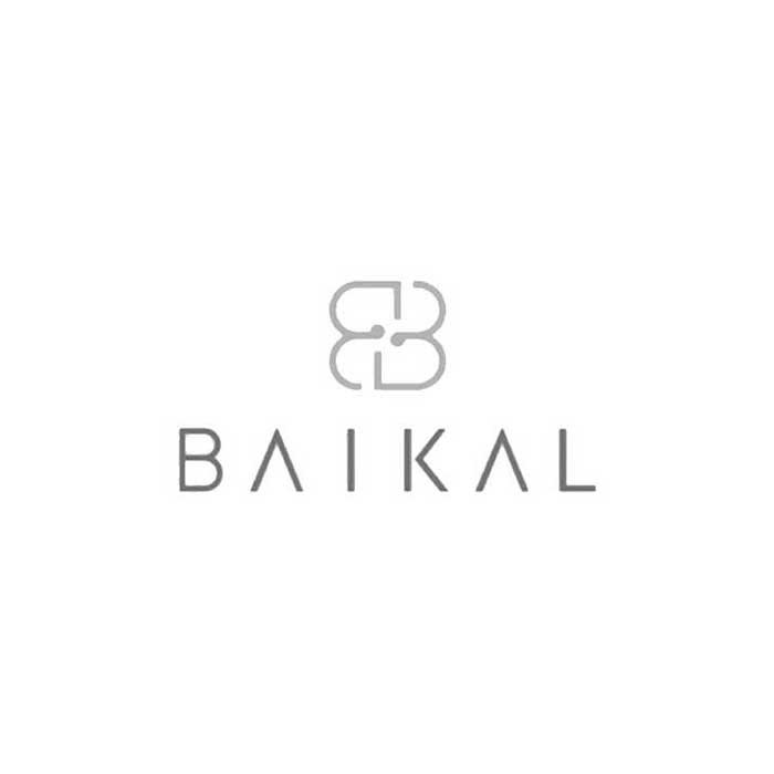 Networking_Inmobiliario_Baikal