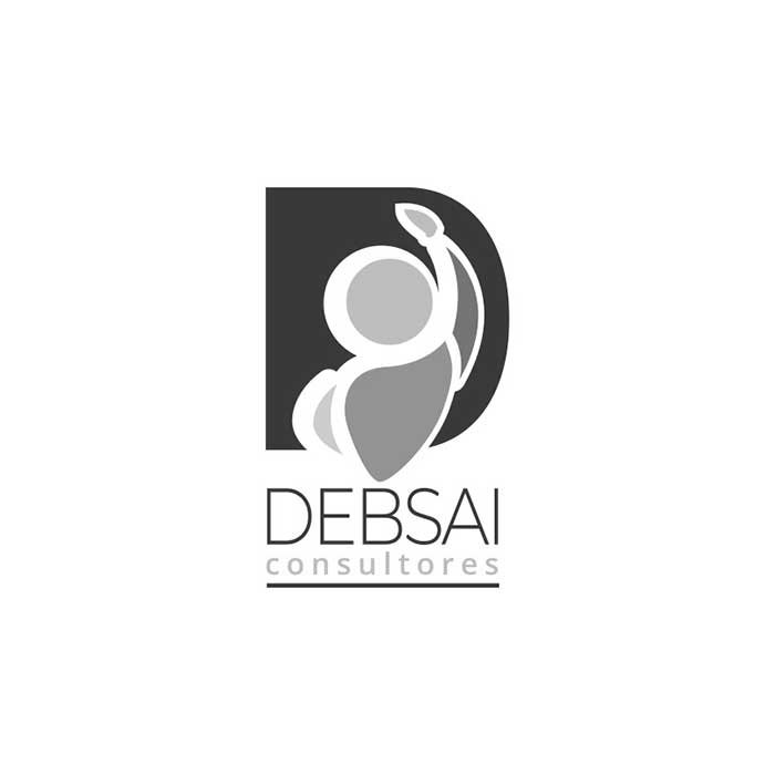Networking_Inmobiliario_Debsai