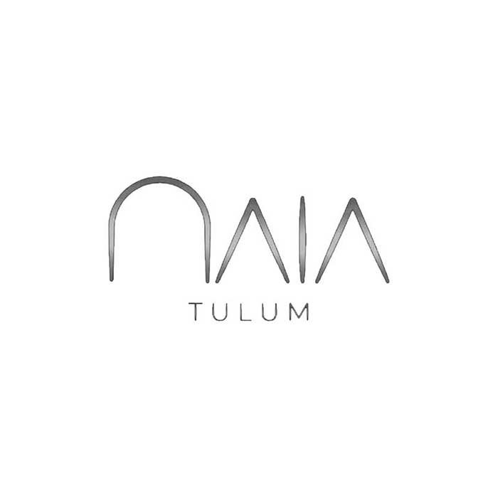 Networking_Inmobiliario_naia